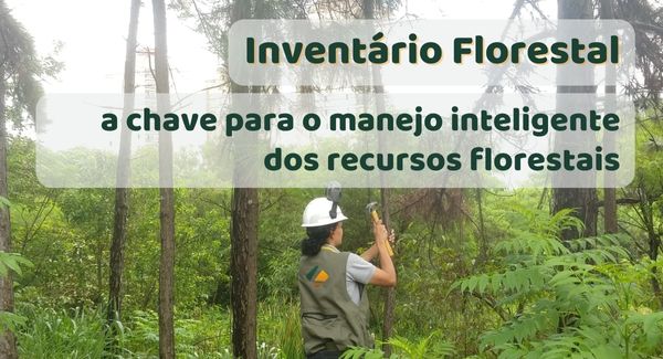 inventário florestal