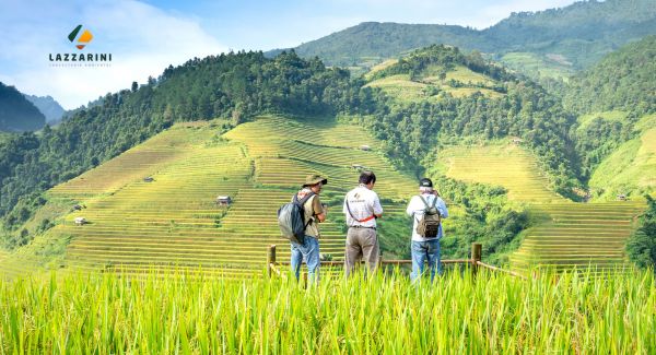 consultoria agroambiental