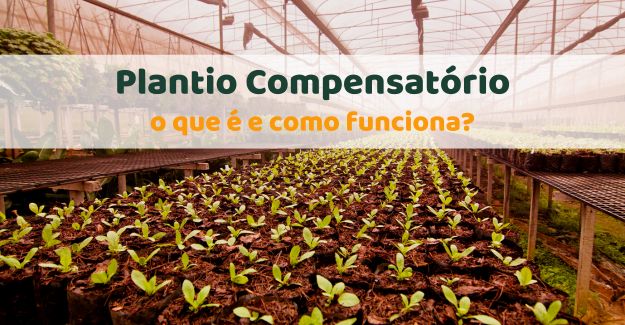 Plantio Compensatório