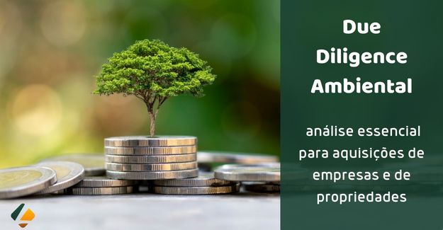 due diligence ambiental