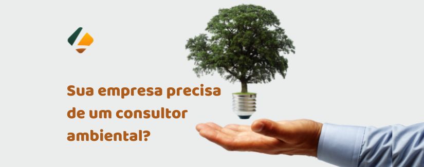 consultor ambiental